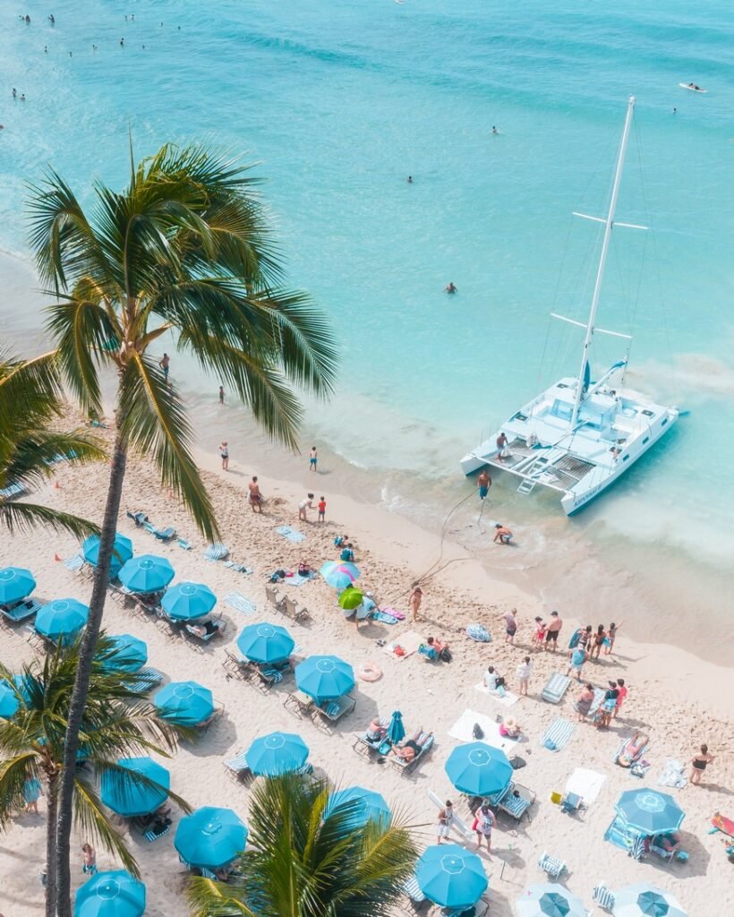 Catana - résultats annuels 2022/2023